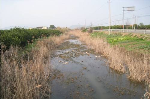 河道淤积 河道淤积
